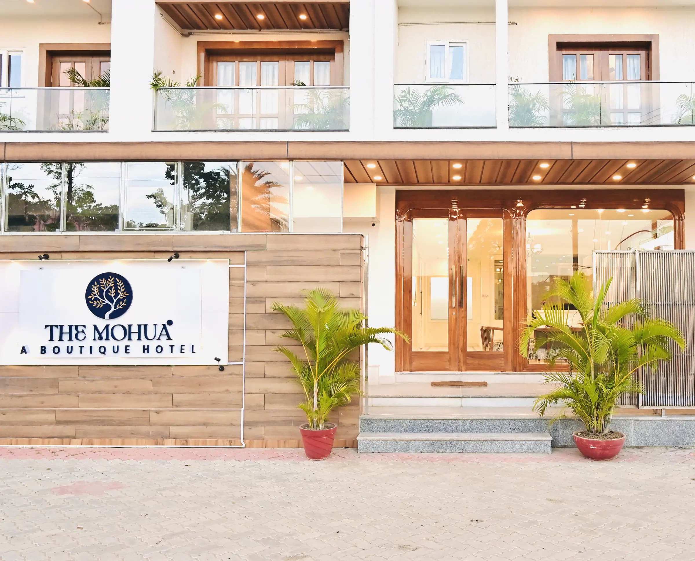 The lit entrance of The Mohua, with its name board, timber frontage and potted palms